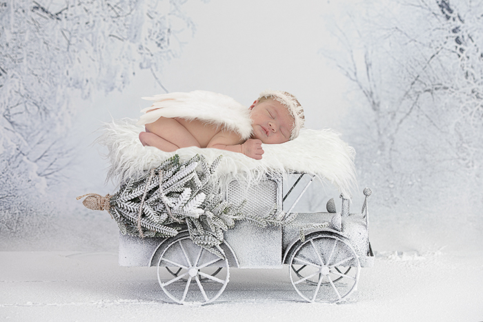 newbornreportage winter