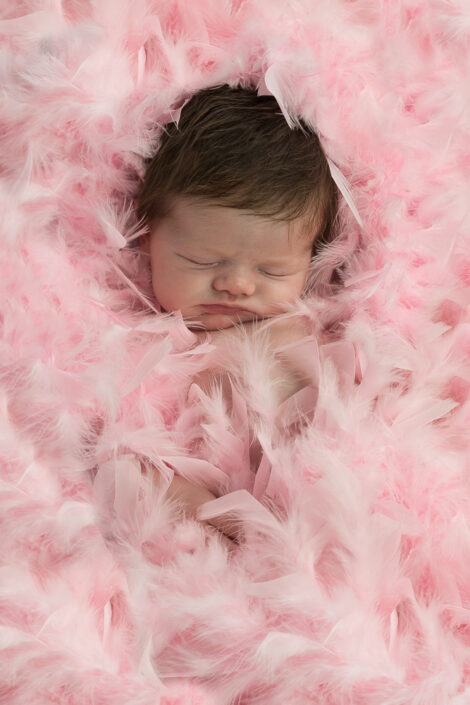 newborn fotografie Beerse